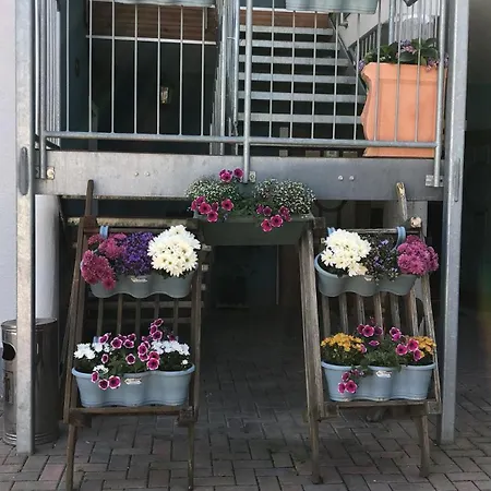 Rheinliebe Bistro Und Pension * Lorch am Rhein